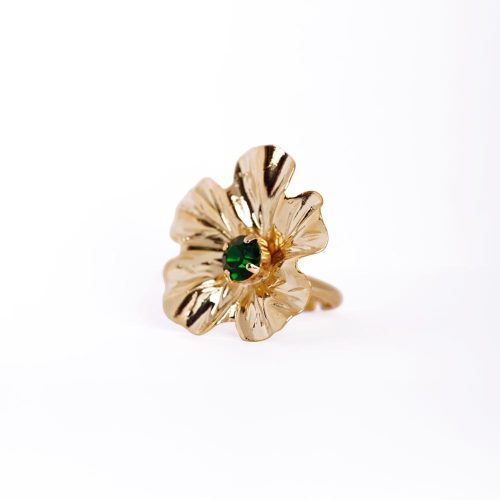 anello 10